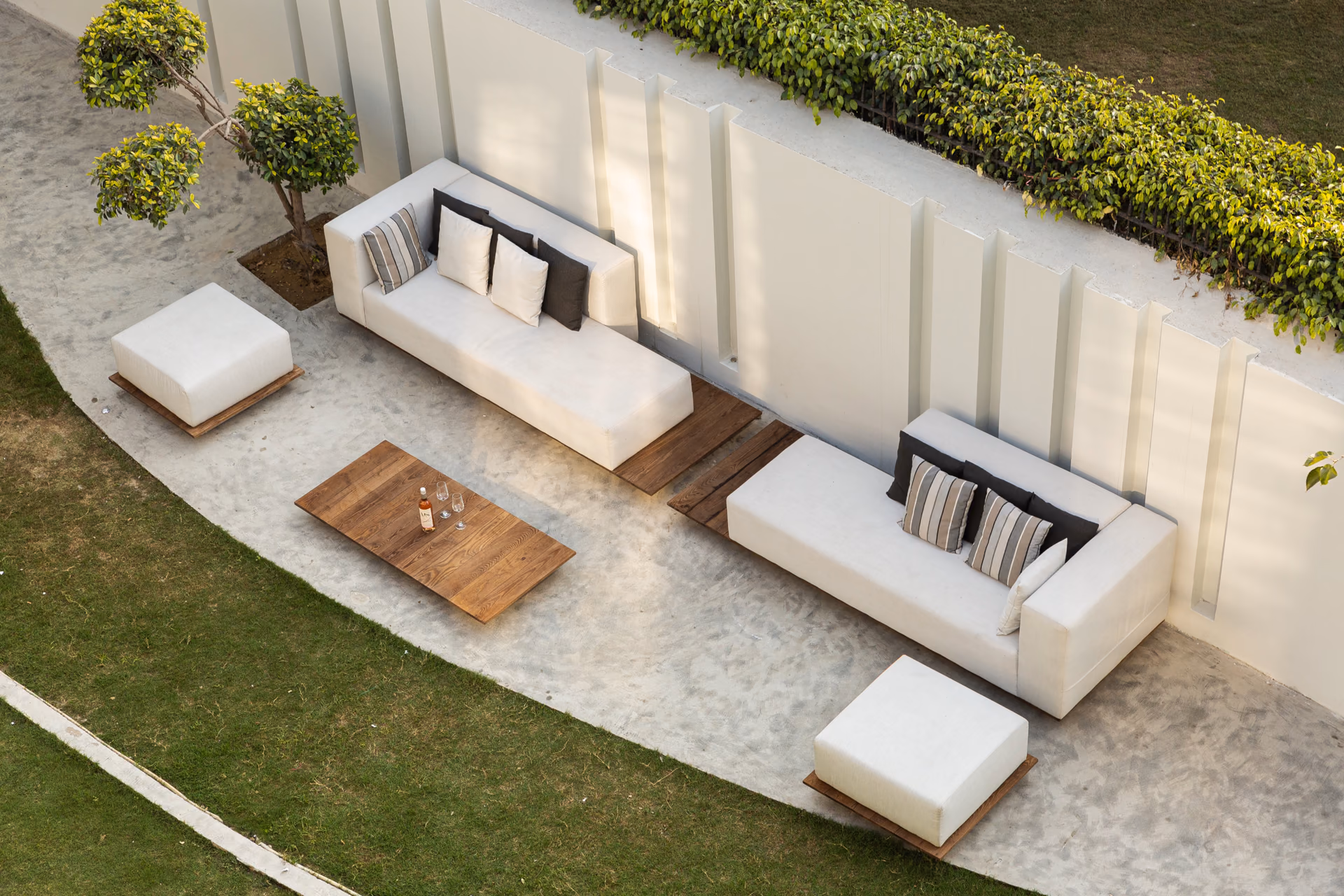 Sun-Drenched Backyard Sanctuary